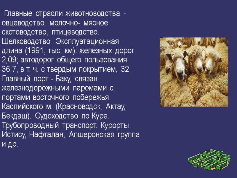 Главные отрасли животноводства - овцеводство, молочно- мясное скотоводство, птицеводство. Шелководство. Эксплуатационная длина (1991, тыс.